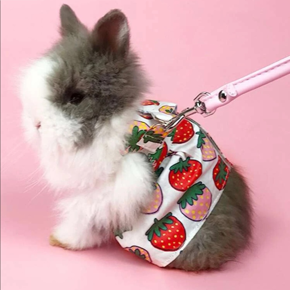 Strawberry Print Pet Harness & Leash 🐇